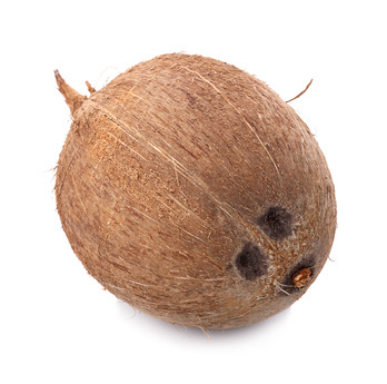 Kokosnuss, Elfenbeinküste - EU-Bio.