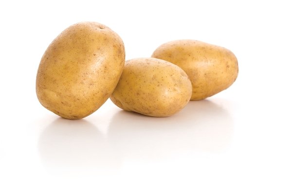 Kartoffeln Agria - eher mehlig, Ökohof Marold - GÄA