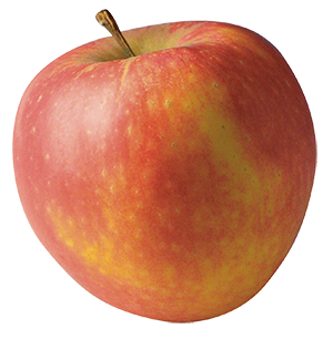 Apfel Sansarena - Neue Ernte, Italien - EU-Bio.