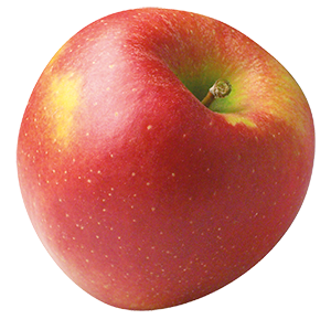 Apfel Marnica, Niedersachsen - Augustin, demeter