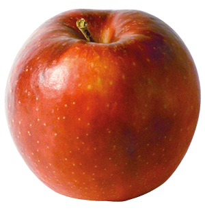 Apfel Red Jonaprince - Augustin - demeter